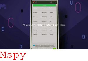 Google. Mspy
